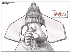 WINGNUTS   by Bill Day