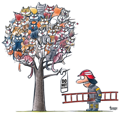Cats and fireman by Gatis Sluka