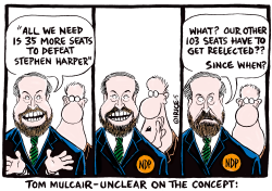 TOM MULCAIR UNCLEAR IN THE CONCEPT by Ingrid Rice