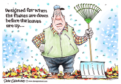 RAKES AND FLAKES by Dave Granlund