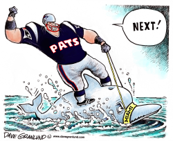 PATRIOTS RIDE DOLPHINS by Dave Granlund