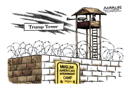 TRUMP AND MUSLIM AMERICANS  by Jimmy Margulies
