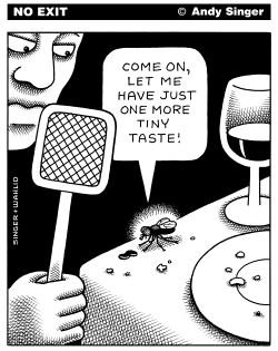 FLY PLEADS FOR ONE MORE TASTE by Andy Singer