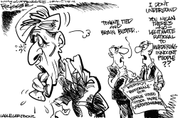 KERRY ATTACK COMMENTS by Milt Priggee
