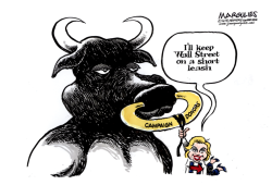 HILLARY AND WALL STREET  by Jimmy Margulies