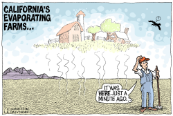 LOCAL-CA EVAPORATING FARMS  by Wolverton