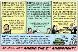 AMEND SECOND AMENDMENT  by Andy Singer