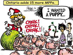 MORE MPPS by Steve Nease