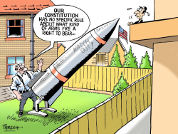 AMERICAN ARMS RIGHT  by Paresh Nath