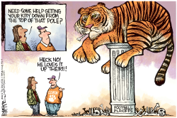 CLEMSON ON TOP LOCAL  by Rick McKee
