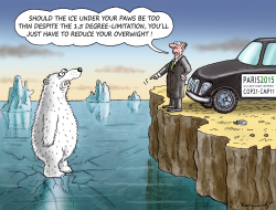 CLIMATIC CHANGE SUMMIT IN PARIS by Marian Kamensky