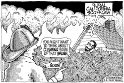 LOCAL-CA FIRE SAFETY BRUSH CLEARING by Monte Wolverton