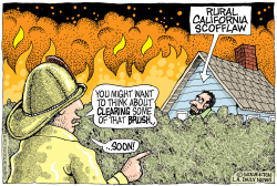 LOCAL-CA FIRE SAFETY BRUSH CLEARING  by Monte Wolverton