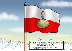 THE POLISH LANGUAGE COURSE by Marian Kamensky