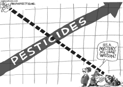 CASE OF THE MURDERED BEES by Pat Bagley
