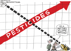 CASE OF THE MURDERED BEES  by Pat Bagley