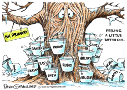 NEW HAMPSHIRE PRIMARY 2016 by Dave Granlund