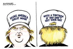 TRUMP HAT  by Jimmy Margulies