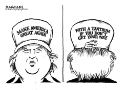 TRUMP HAT by Jimmy Margulies