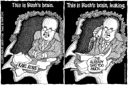 THIS IS BUSHS BRAIN by Monte Wolverton