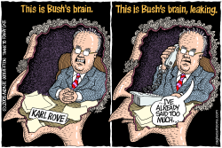 THIS IS BUSHS BRAIN    by Monte Wolverton