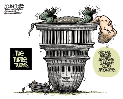 MCCONNELL TURNS TURTLE  by John Cole