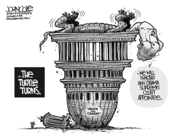 MCCONNELL TURNS TURTLE BW by John Cole