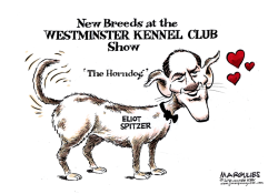 ELIOT SPITZER COLOR by Jimmy Margulies