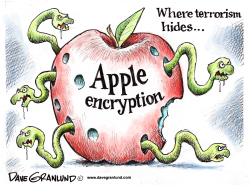 APPLE ENCRYPTION AND TERRORISM by Dave Granlund