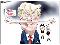 SUPER TUESDAY   by Bill Day