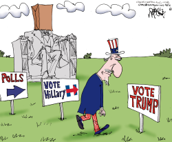 ILLINOIS PRIMARY SHAME LOCAL-IL  by Gary McCoy