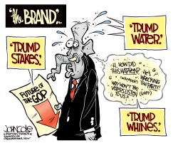 THE TRUMP BRAND  by John Cole