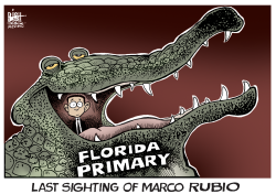 THE DEMISE OF MARCO RUBIO,  by Randy Bish
