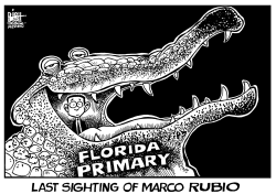 THE DEMISE OF MARCO RUBIO, B/W by Randy Bish