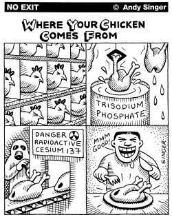 WHERE YOUR CHICKEN COMES FROM by Andy Singer