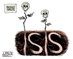 BRUSSELS AND ISIS  by John Cole