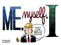 TRUMP CAN UNIFY  by Jimmy Margulies