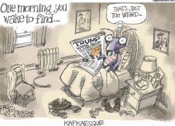 TRUMP TRANSMOGRIFICA- TION  by Pat Bagley