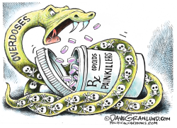 PAINKILLERS AND OVERDOSES  by Dave Granlund