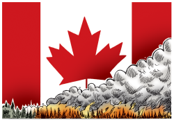 CANADA FIRES,  by Randy Bish