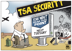 TSA LINES,  by Randy Bish