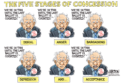 BERNIE SANDERS AND THE FIVE STAGES OF CONCESSION- by R.J. Matson
