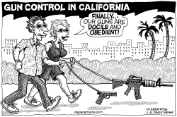 LOCAL-CA GUN CONTROL BILLS by Monte Wolverton
