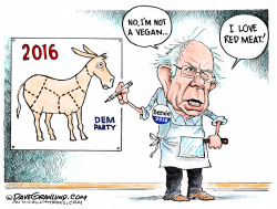 BERNIE AND RED MEAT  by Dave Granlund