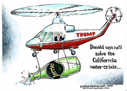 TRUMP AND CA WATER CRISIS  by Dave Granlund