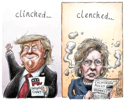 PARTY NOMINATION  by Adam Zyglis