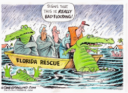 FLORIDA FLOODING  by Dave Granlund
