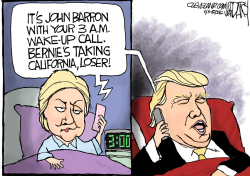 HILLARY'S 3 AM CALL by Jeff Darcy