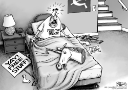 CRASH AND BERN by Nate Beeler