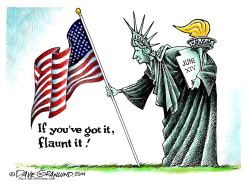 FLAG DAY FLAUNTING  by Dave Granlund
